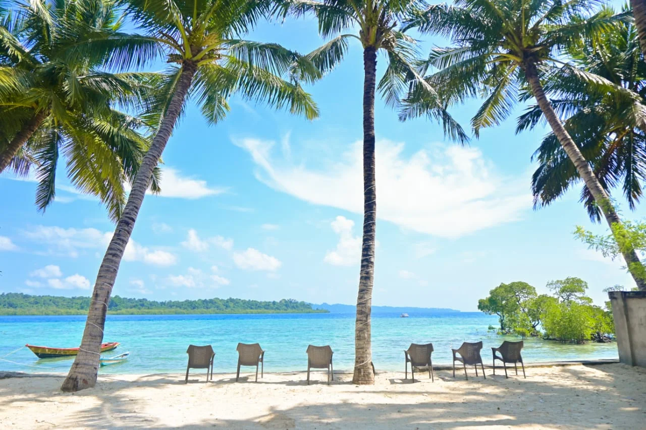 Virgin Beach Resort_.webp
